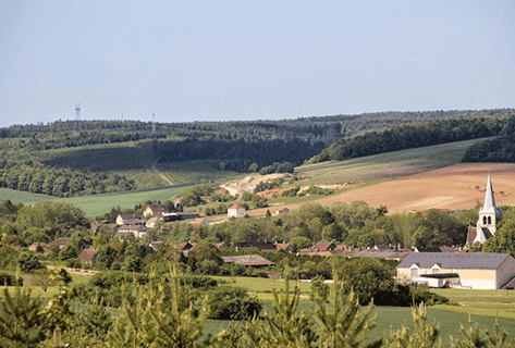 Photo du domaine partenaire Olivier Horiot