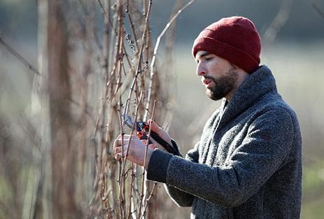 Photo du domaine partenaire Ostertag
