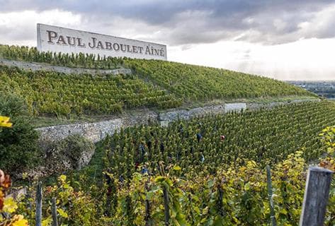 Photo du domaine partenaire Paul Jaboulet Aîné