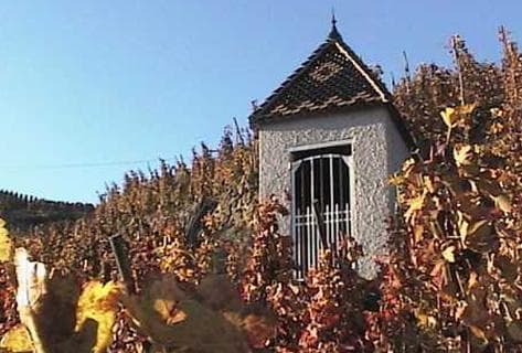 Photo du domaine partenaire René Rostaing