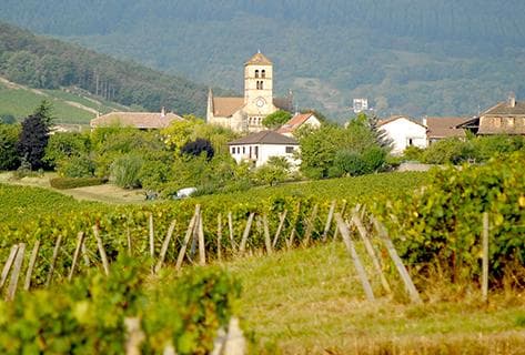 Photo du domaine partenaire Rijckaert