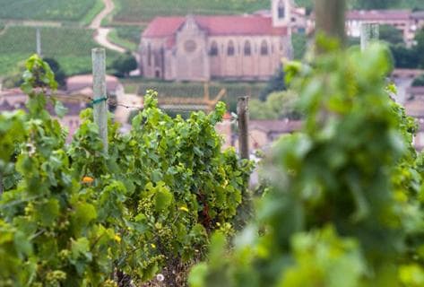 Photo du domaine partenaire Robert Denogent