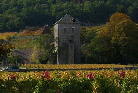 Photo du domaine partenaire Rossignol-Trapet