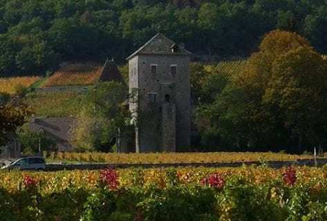 Photo du domaine partenaire Rossignol-Trapet