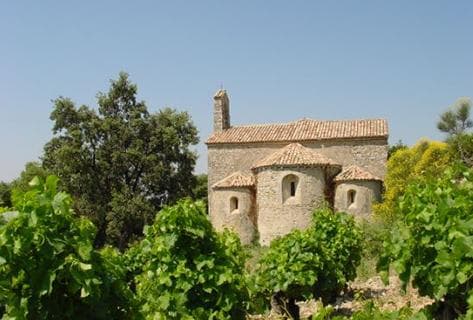 Photo du domaine partenaire Saint Cosme