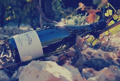 Photo du domaine partenaire Saint-Sylvestre