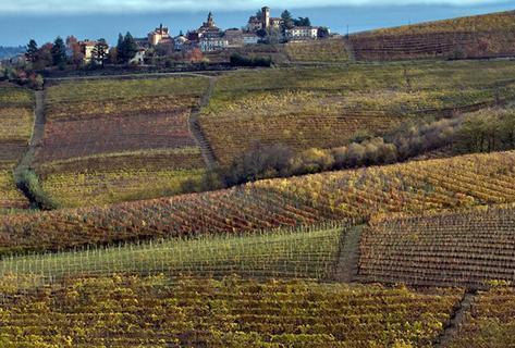 Photo du domaine partenaire Sottimano