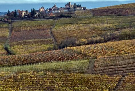 Photo du domaine partenaire Sottimano