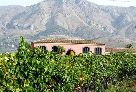 Photo du domaine partenaire Tenuta delle Terre Nere