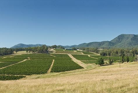 Photo of partner producer Tyrrell's Wines