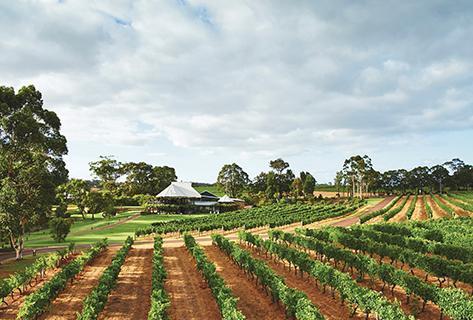 Photo du domaine partenaire Vasse Felix