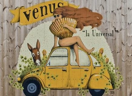 Photo of partner producer Venus La Universal