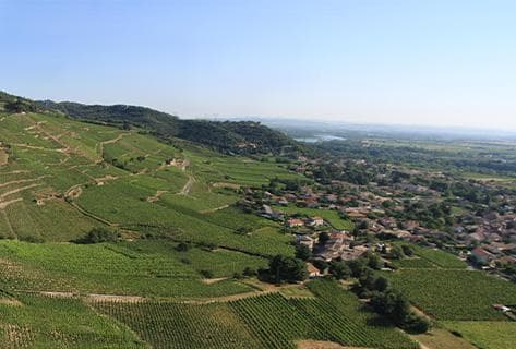 Photo of partner producer Vincent Paris