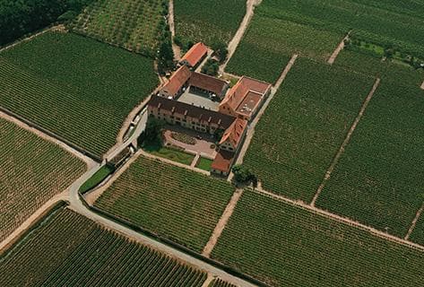 Photo du domaine partenaire Weinbach
