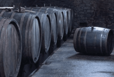 Photo du domaine partenaire Willi Schaefer