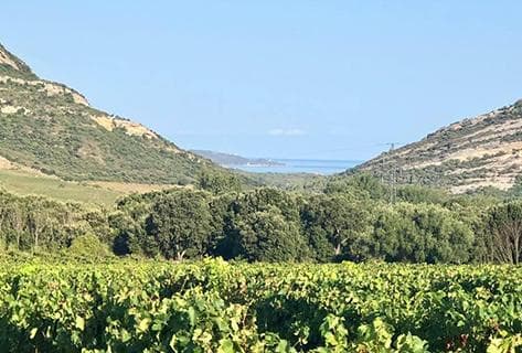 Photo du domaine partenaire Yves Leccia