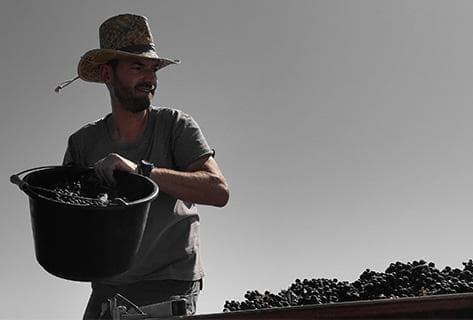 Photo du domaine partenaire Antoine Sunier