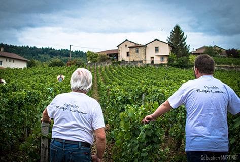 Photo du domaine partenaire Domaine Lassarat