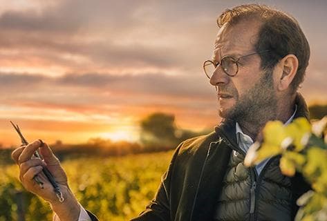 Photo of partner producer Château d'Yquem