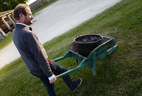 Foto des Partnerweinguts Marjosse