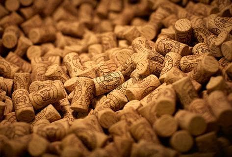 Photo du domaine partenaire Louis Latour