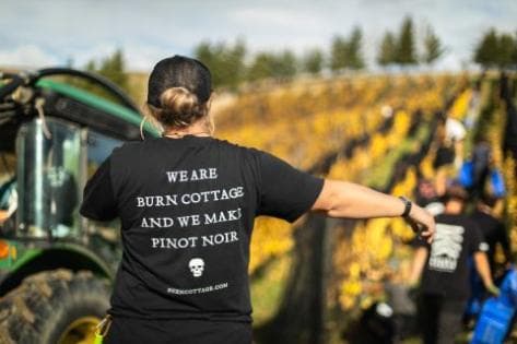 Photo du domaine partenaire Burn Cottage Vineyard