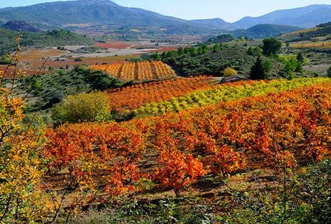 Photo du domaine partenaire Maxime Magnon