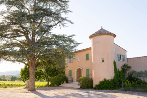 Foto des Partnerweinguts Rimauresq