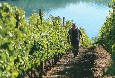 Photo of partner producer Yves Cuilleron