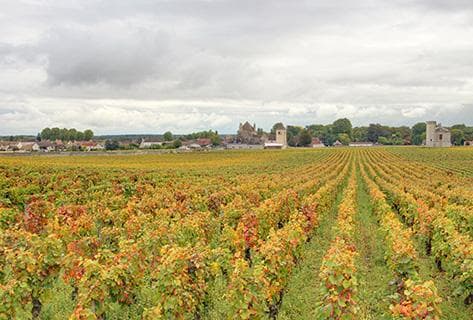 Photo du domaine partenaire Geantet-Pansiot