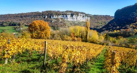 Photo principale du domaine