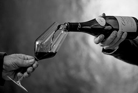 Photo du domaine partenaire The Sadie Family