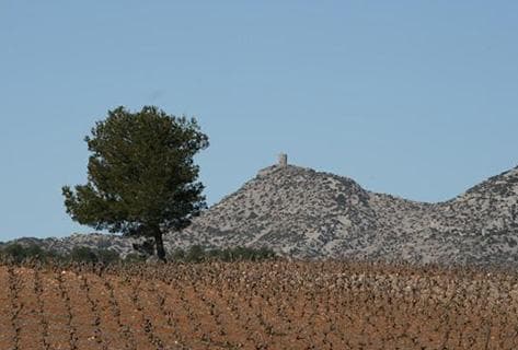Photo du domaine partenaire Gardiés