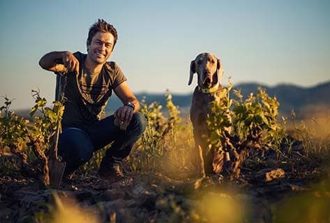 Photo du domaine partenaire Damascene