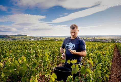 Photo du domaine partenaire Bernard Millot