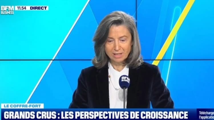 Angélique de Lencquesaing, interviewed on BFM Business discussing wine investment oporunities