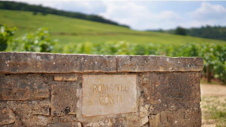 Romanée Conti vineyards in Burgundy, France
