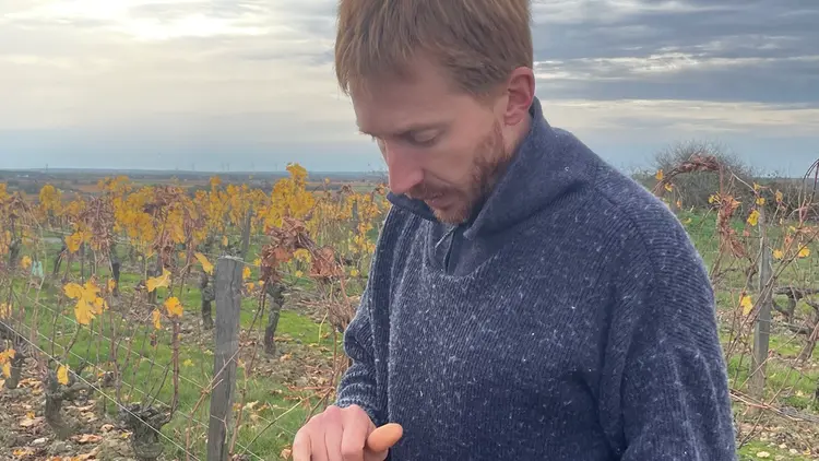 Pierre Menard vigneron en Anjou