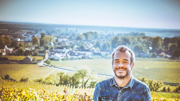 Jérôme Galeyrand dans ses vignes