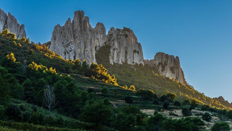 dentelles de montmirail gigondas