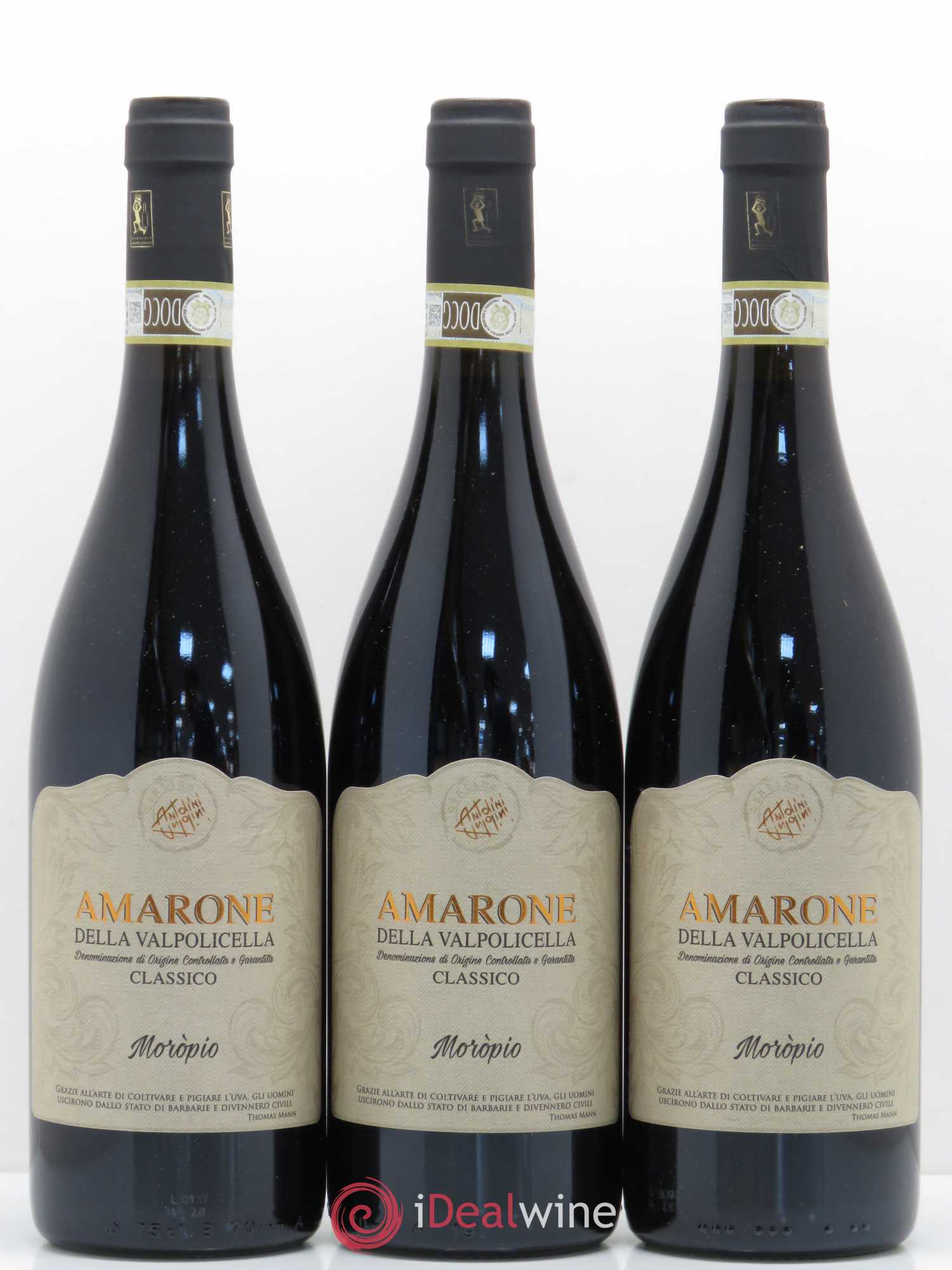 Acheter Amarone Della Valpolicella Doc Classico Moropio Antolini 2014 Lot 167