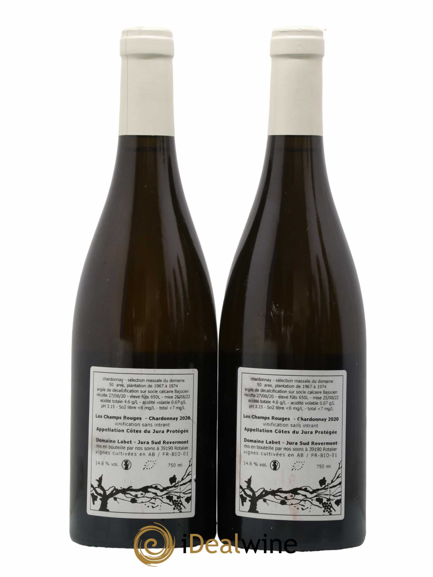 Côtes du Jura Chardonnay Les Champs Rouges Romain - Julien  - Charline Labet 2020 - Lot de 2 bouteilles - 1