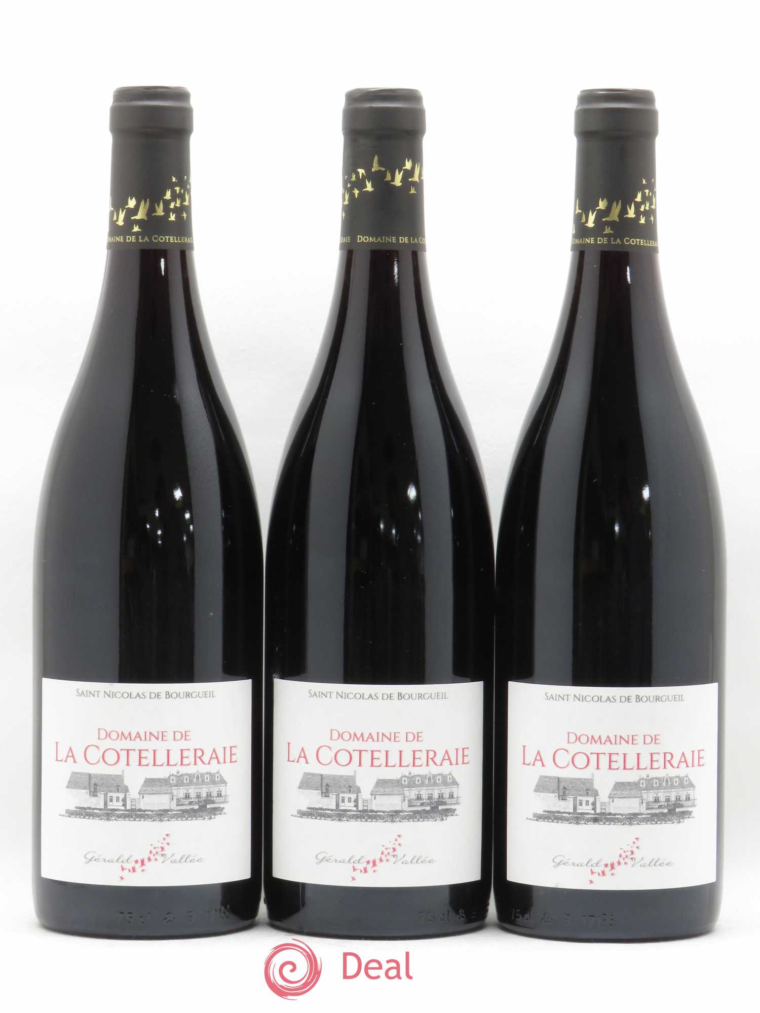 Saint-Nicolas de Bourgueil Domaine de La Cotelleraie (sans prix de réserve) 2018 - Lot de 3 bouteilles - 0