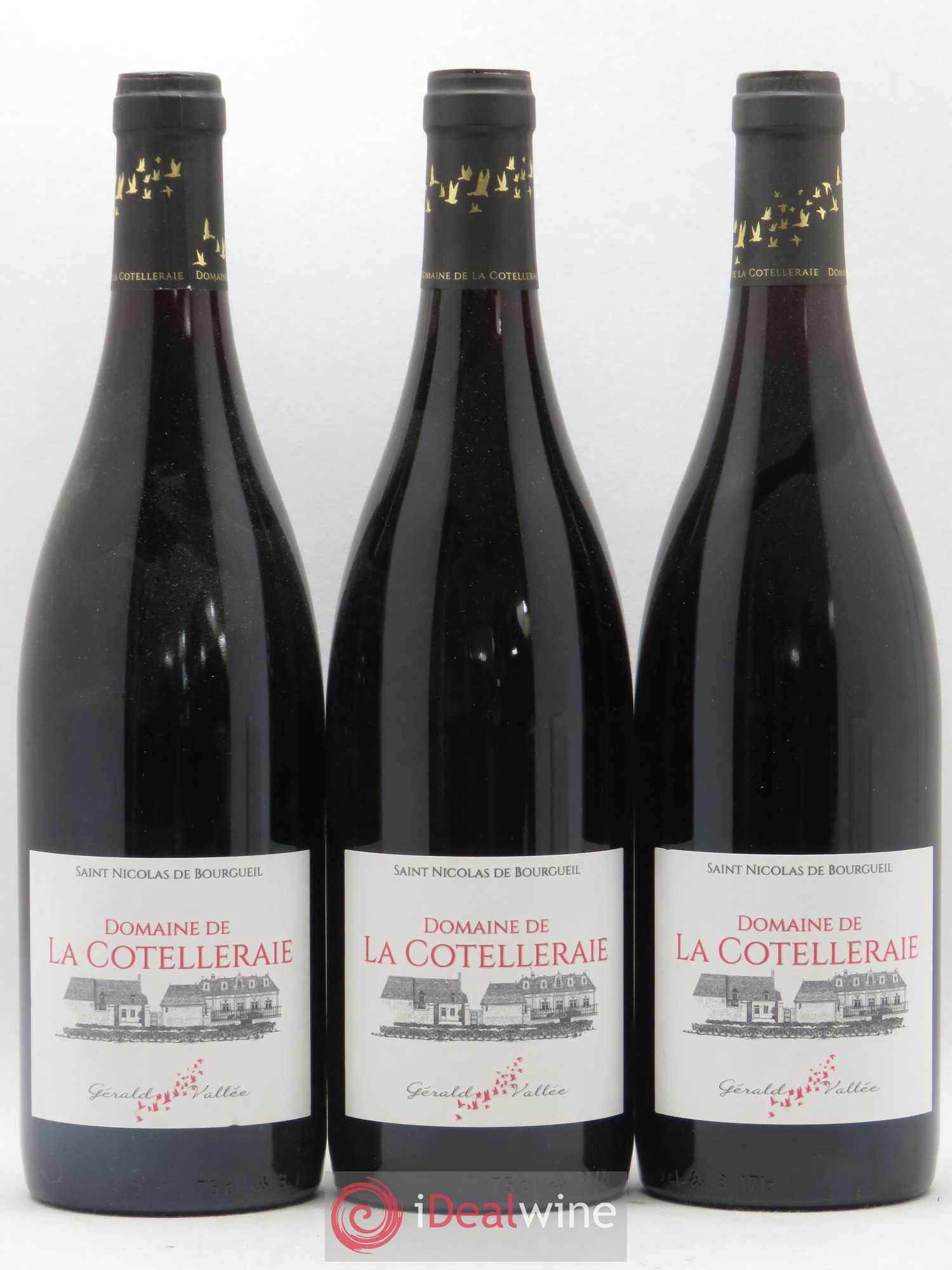 Saint-Nicolas de Bourgueil Domaine de La Cotelleraie (sans prix de reserve) 2018 - Lot de 3 bouteilles - 0