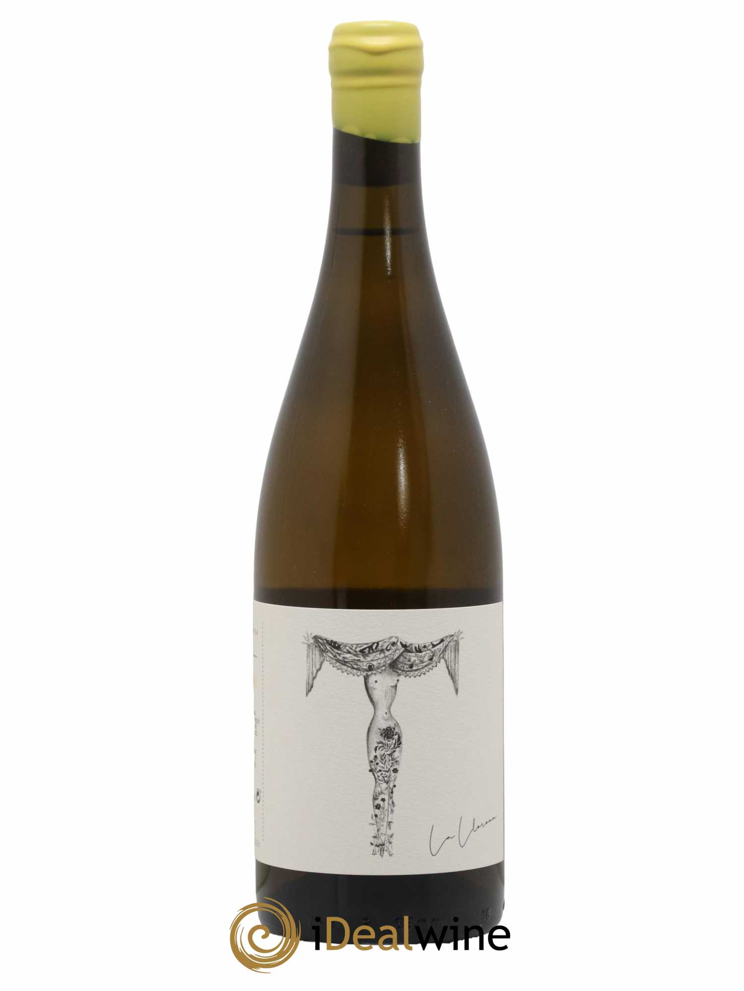 Bierzo DO Veronica Ortega Llorona 2019 - Lot de 1 bouteille - 0