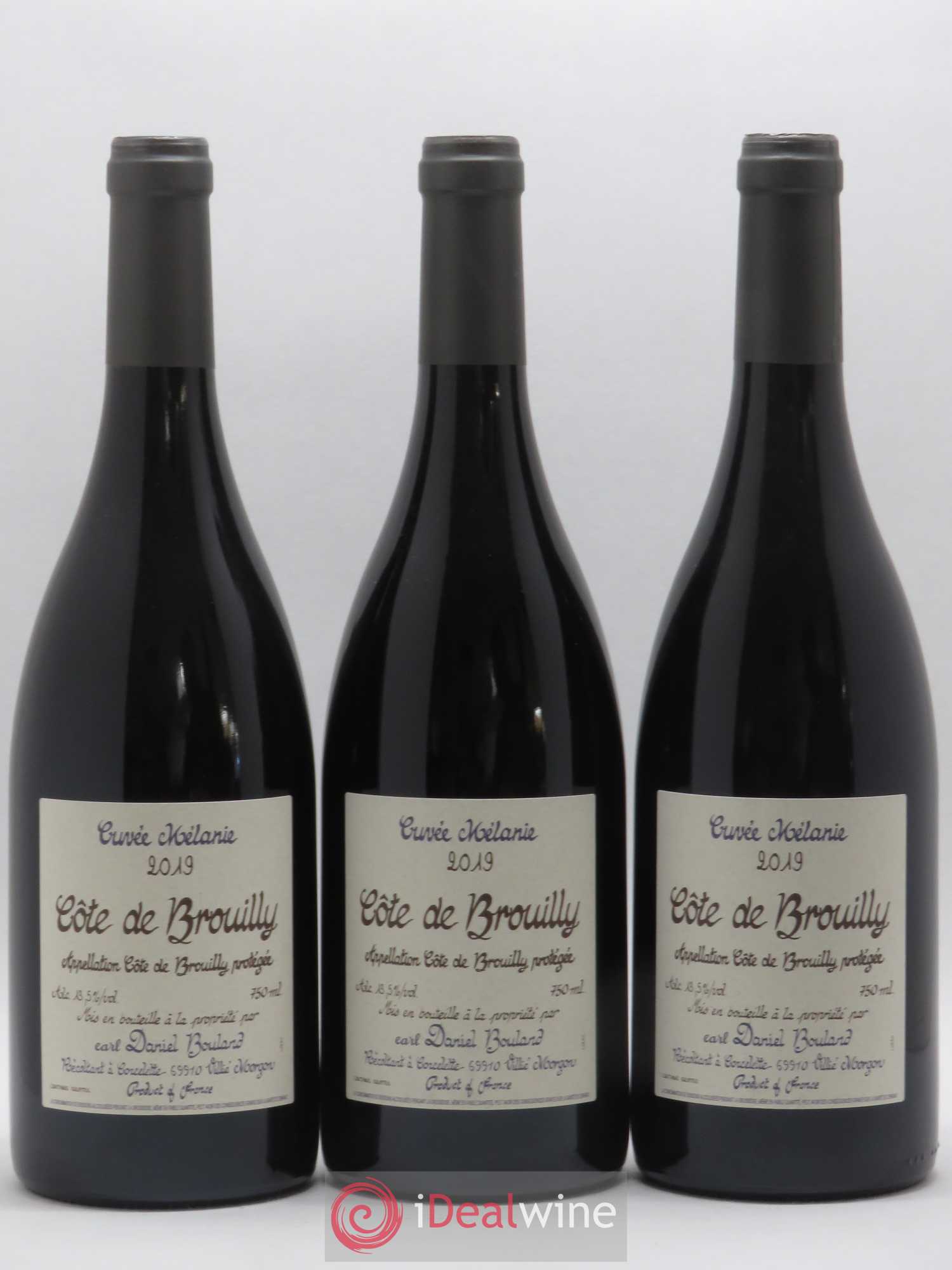 Côte de Brouilly Cuvée Mélanie Daniel Bouland (Domaine)  (sans prix de réserve) 2019 - Lot de 3 bouteilles - 0