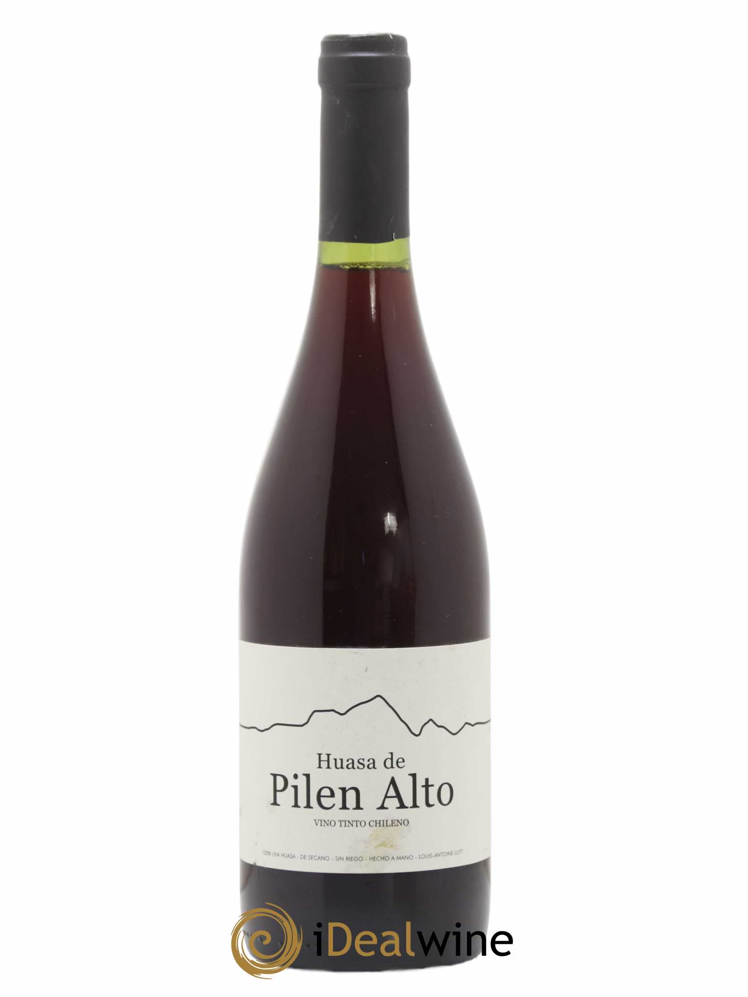 Chili Huasa de Pilen Alto 2019 - Lot de 1 bouteille - 0