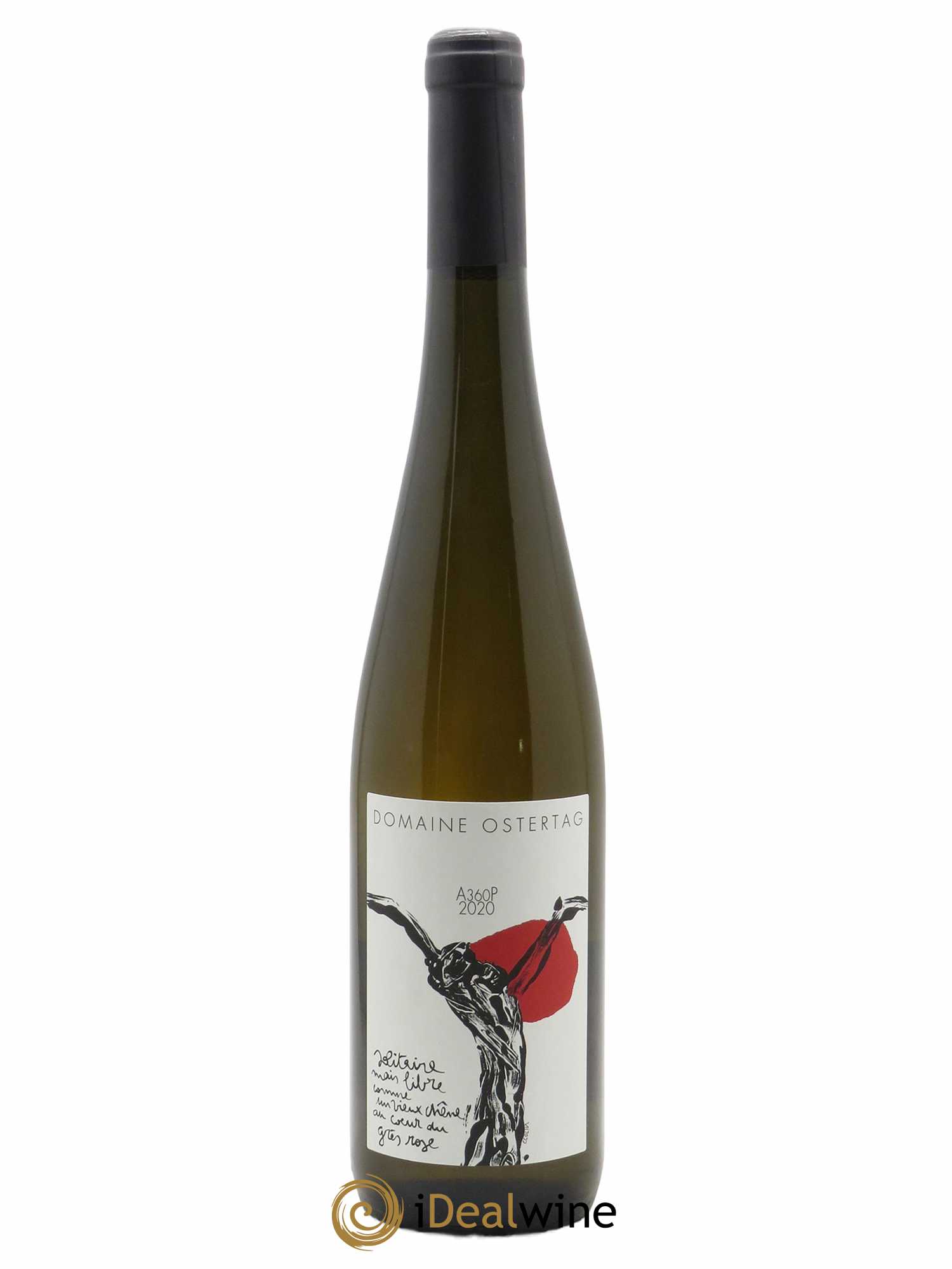 Pinot Gris  -  Muenchberg A360P