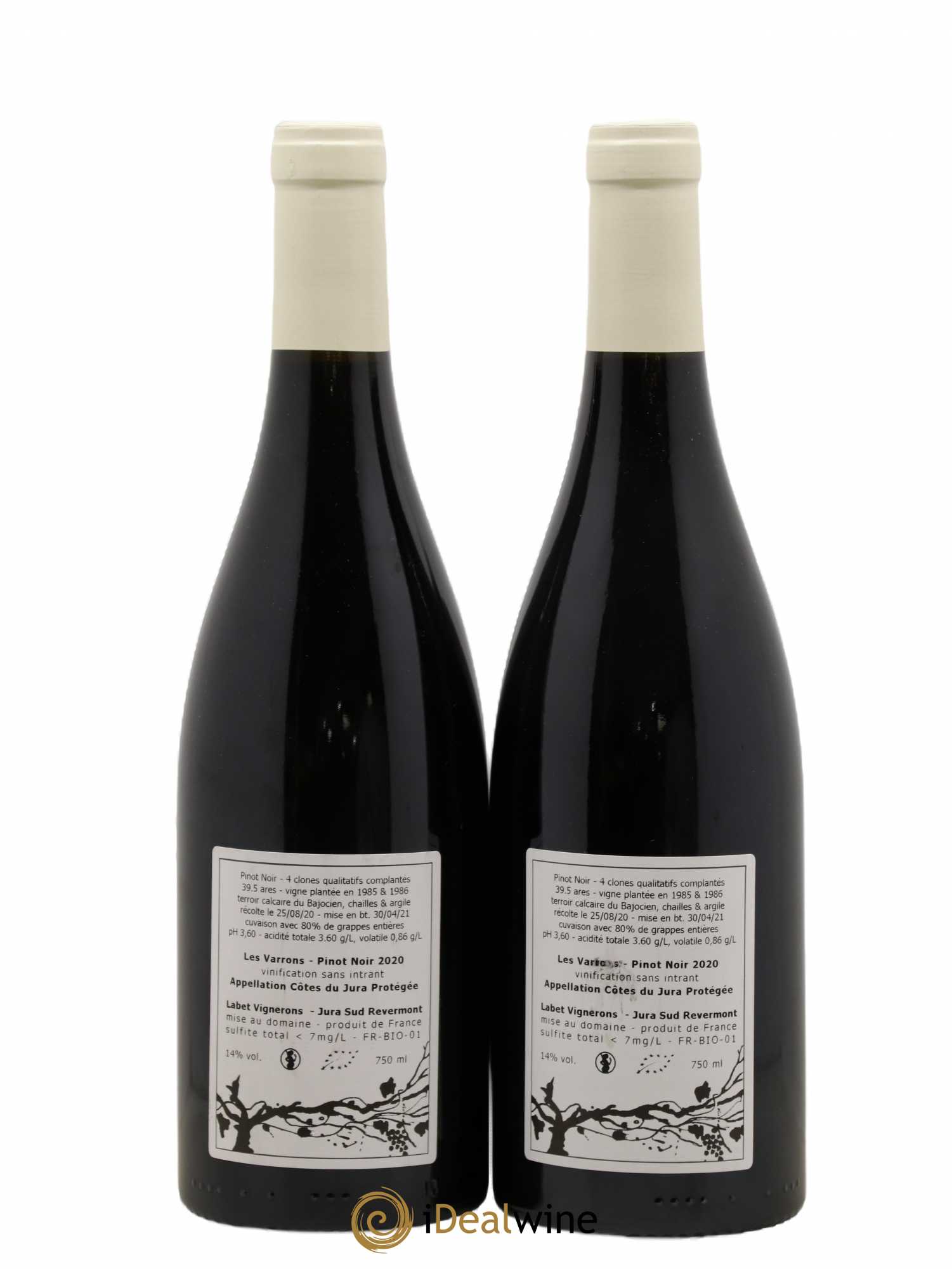 Côtes du Jura Pinot Noir Les Varrons Labet (Domaine) 2020 - Lot de 2 bouteilles - 1