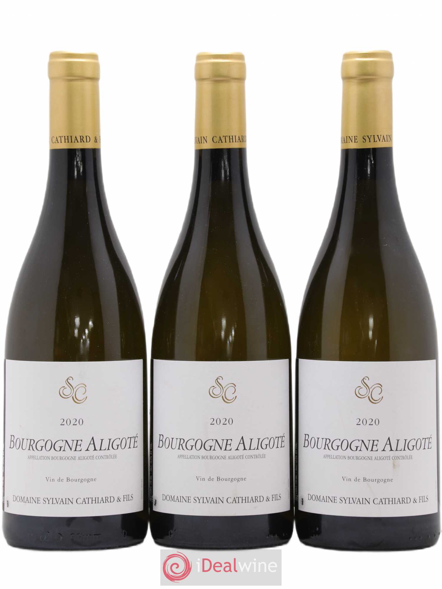 Bourgogne Aligoté Sylvain Cathiard 2020 - Lot of 3 bottles - 0